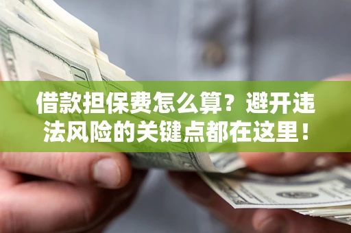济南借款担保费怎么算？避开违法风险的关键点都在这里！