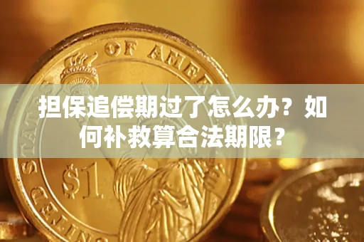 济南担保追偿期过了怎么办？如何补救算合法期限？