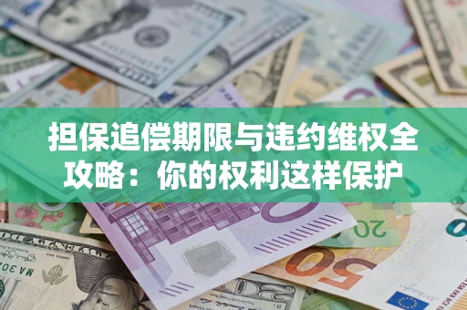 济南担保追偿期限与违约维权全攻略：你的权利这样保护